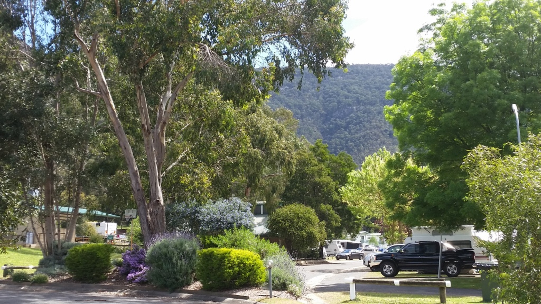 Halls gap 2024 caravan park